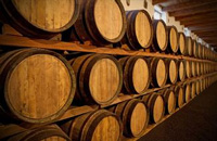 ����������ϵľƽѱ��l�F