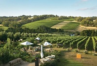 �A͢�ƽю���ȥ����˚�İ��޾��f���£�