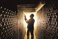 �׮�������Ѿ���ԭ�t