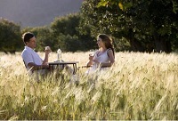 �����ѵ��������xһƿ�����Ѿưɣ�