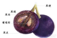 ���ѾƆΌ������ϵĂ��f