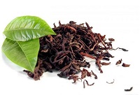 ���ѾƲ���ȱ�ٵĹǼܡ����Ό�