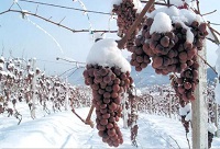 ��Ʋ��ɲ�֪��4�cС֪�R