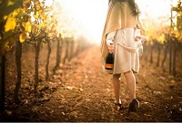 ���Ѿƣ�һ�����۵İ�H