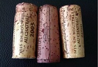 ��ľ�����Է�ƿ��߀��������Щ��