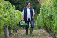 ᄾ����ѷNֲ�������h(hu��n)��