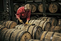 ��ľͰ�����P�Ͱ���������޵ą^�e