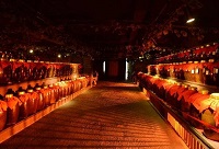 ��ʲô�׾ƾƽѱȰ׾ƾ�ƿ���Ƹ��ã�