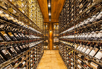 ���ϲ�g�㙉ɫϵ�оƽѾƹ�᣿